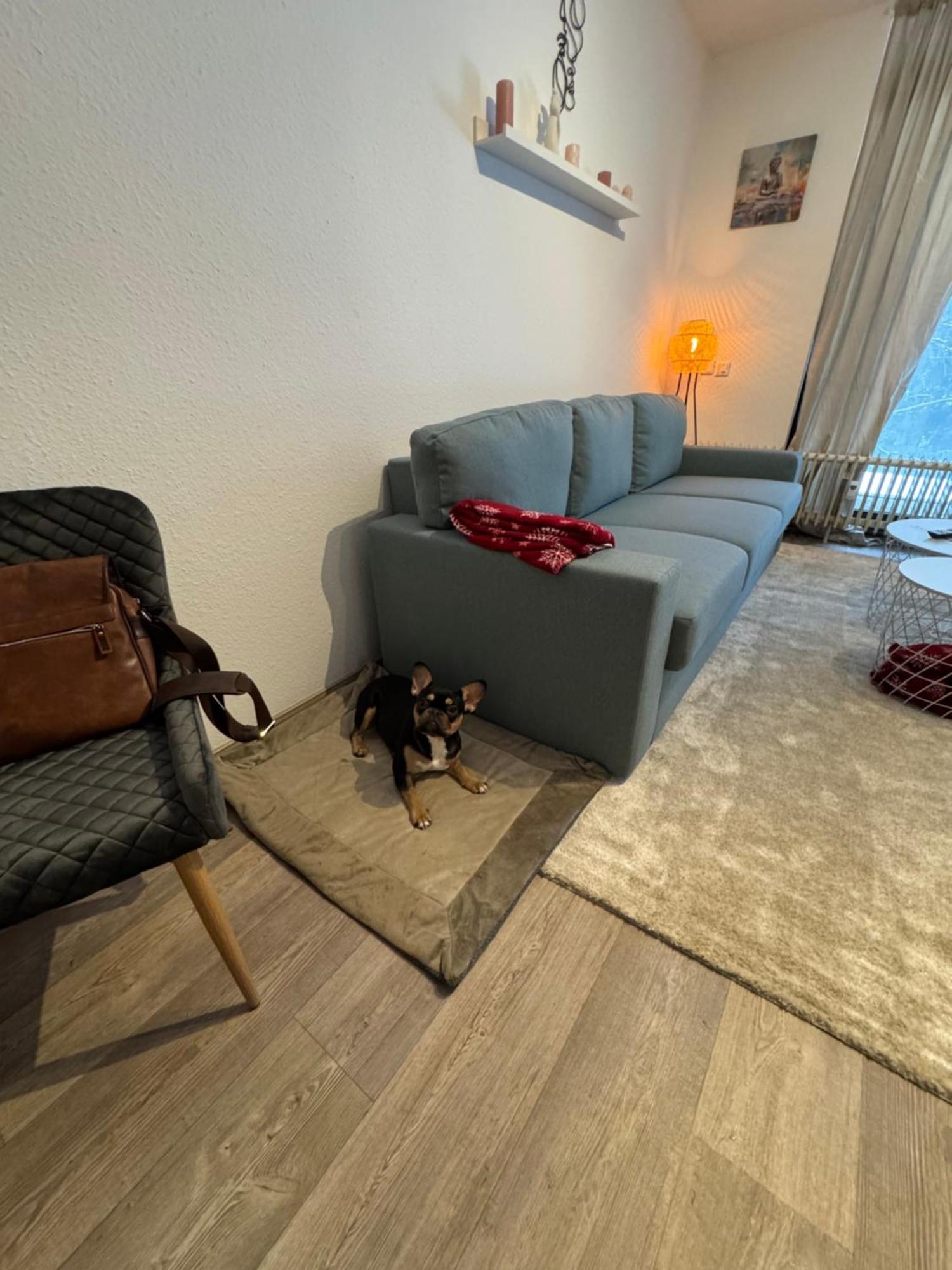 Apartment Maja Unmittelbar An Der Skipiste วินเทอร์แบร์ก ภายนอก รูปภาพ